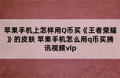 苹果手机上怎样用Q币买《王者荣耀》的皮肤 苹果手机怎么用q币买腾讯视频vip